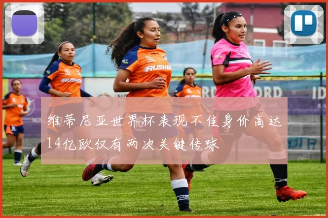 维蒂尼亚世界杯表现不佳身价高达14亿欧仅有两次关键传球