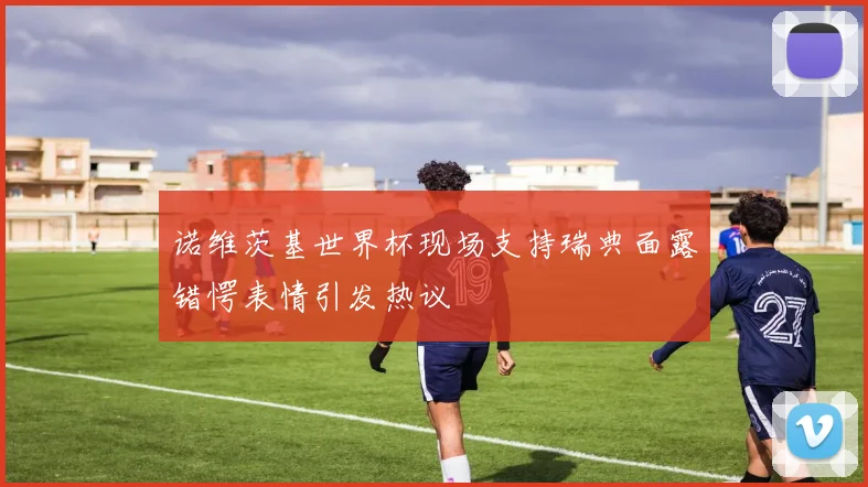 诺维茨基世界杯现场支持瑞典面露错愕表情引发热议